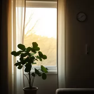 Kiedy wyłączyć ogrzewanie w domu